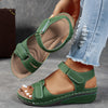 Army Green / 2